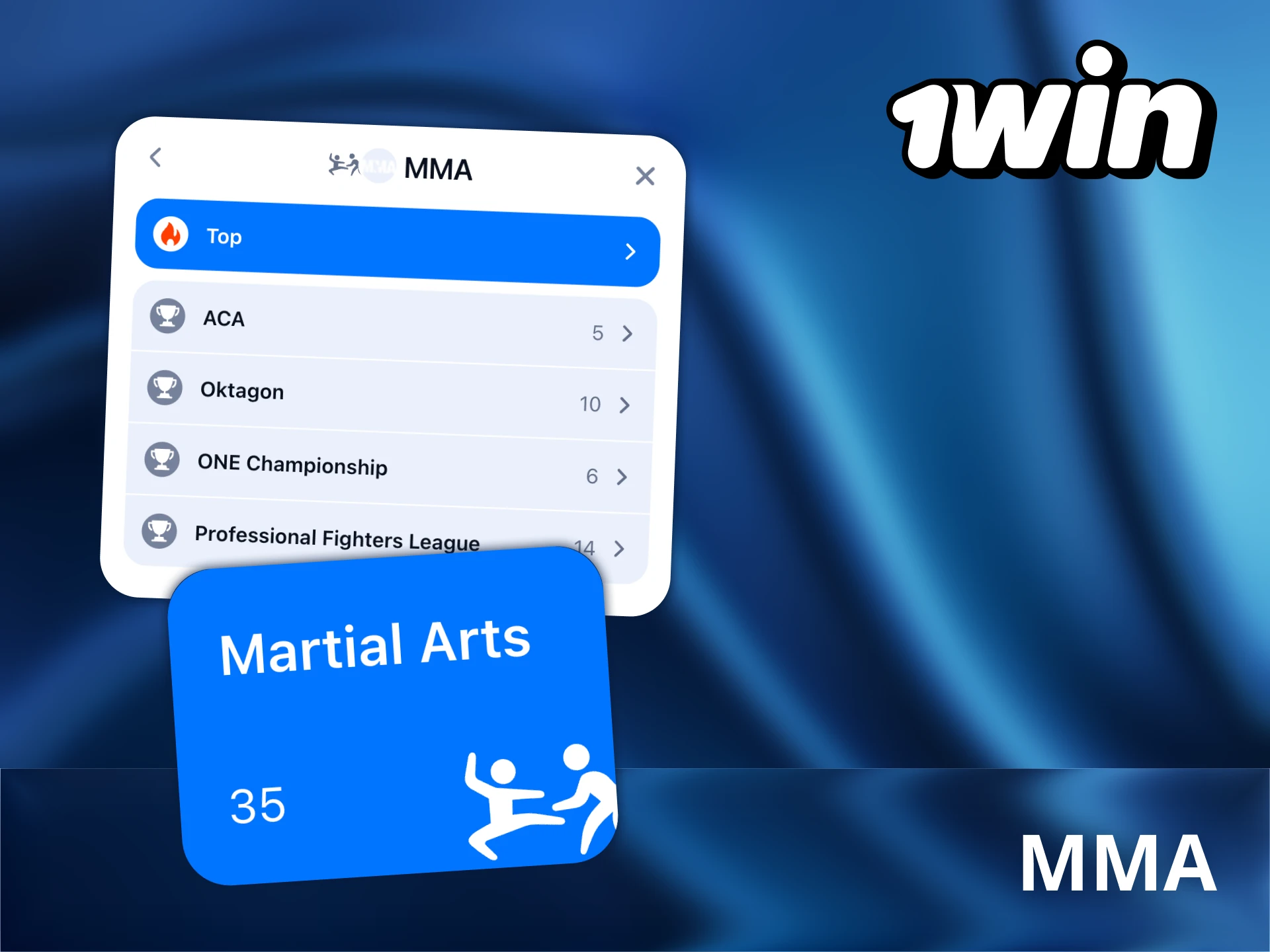 1Win platform covers every round in the MMA arena.